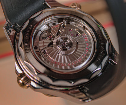 Omega Seamaster Diver 300 M 210.22.42.20.01.002
